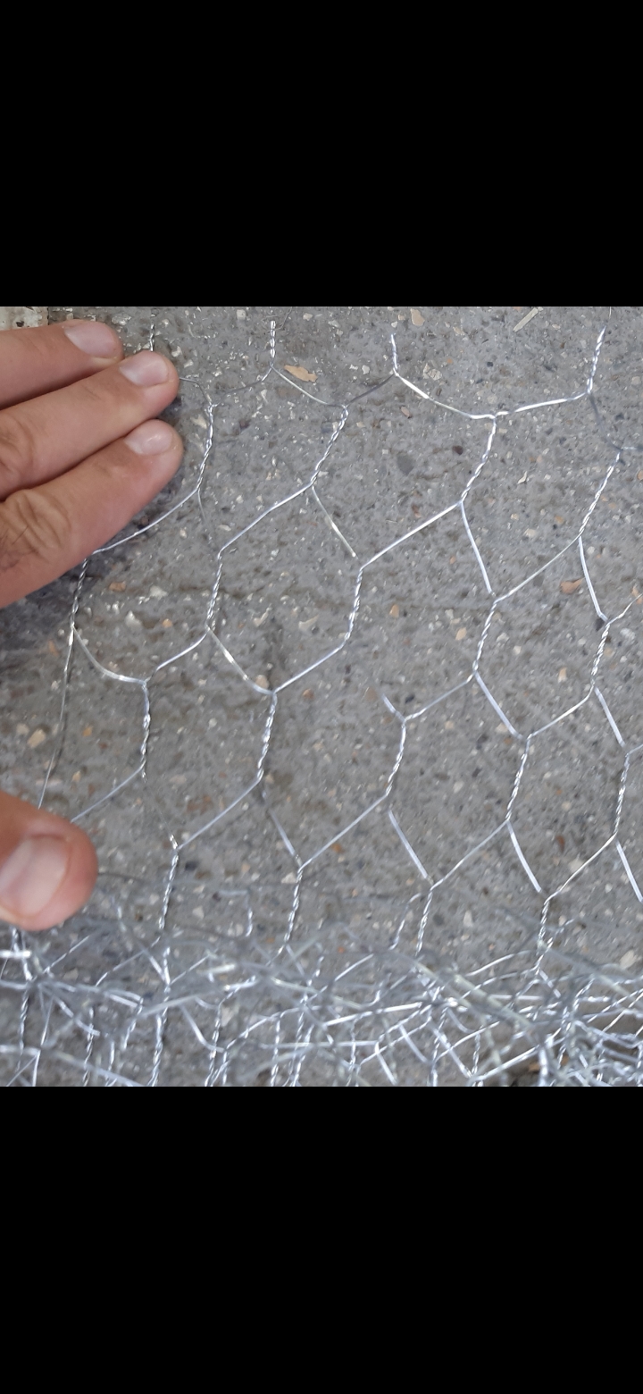 ertefakarane-kasit.ir